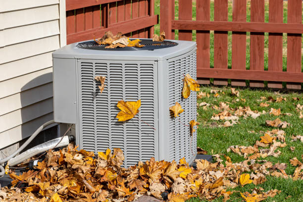 Best HVAC Repair Near Me  in Whitney Point, NY